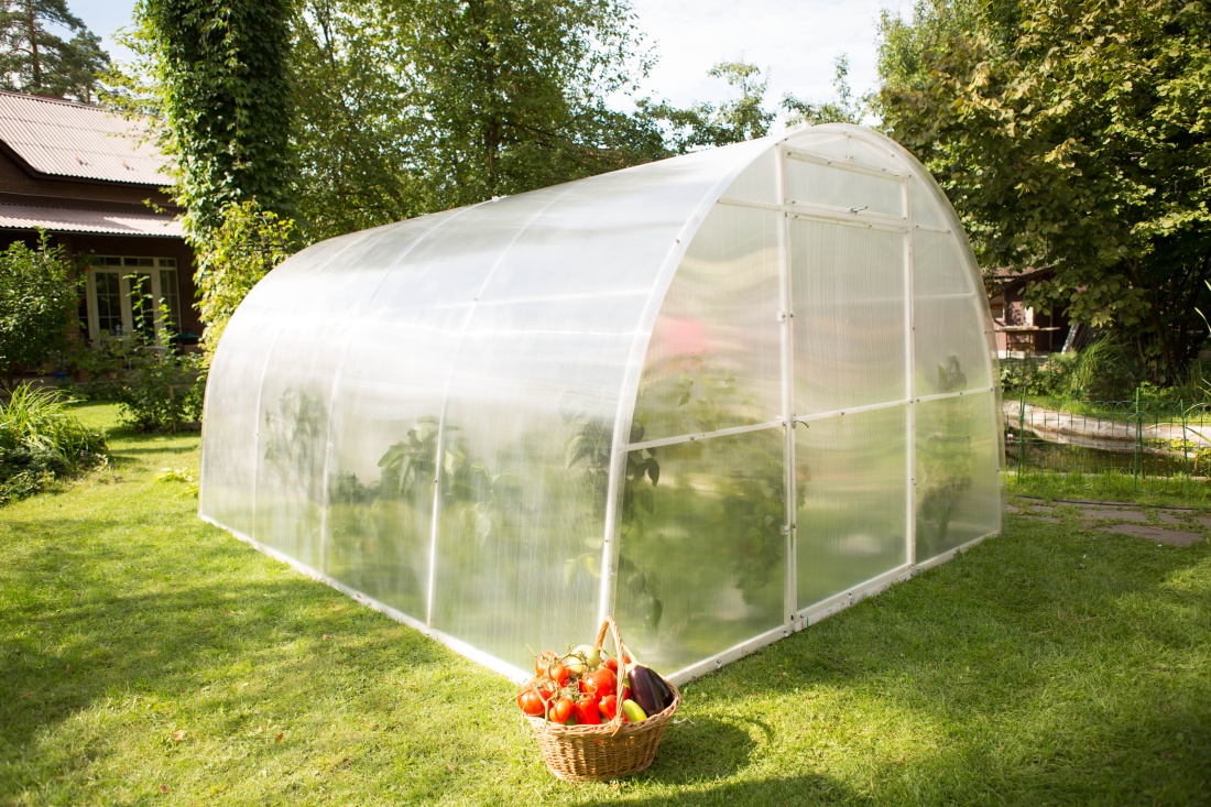 Поликарбонат для теплицы: выбираем правильно — инструкция к покупке